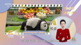 色综合久久中文字幕
